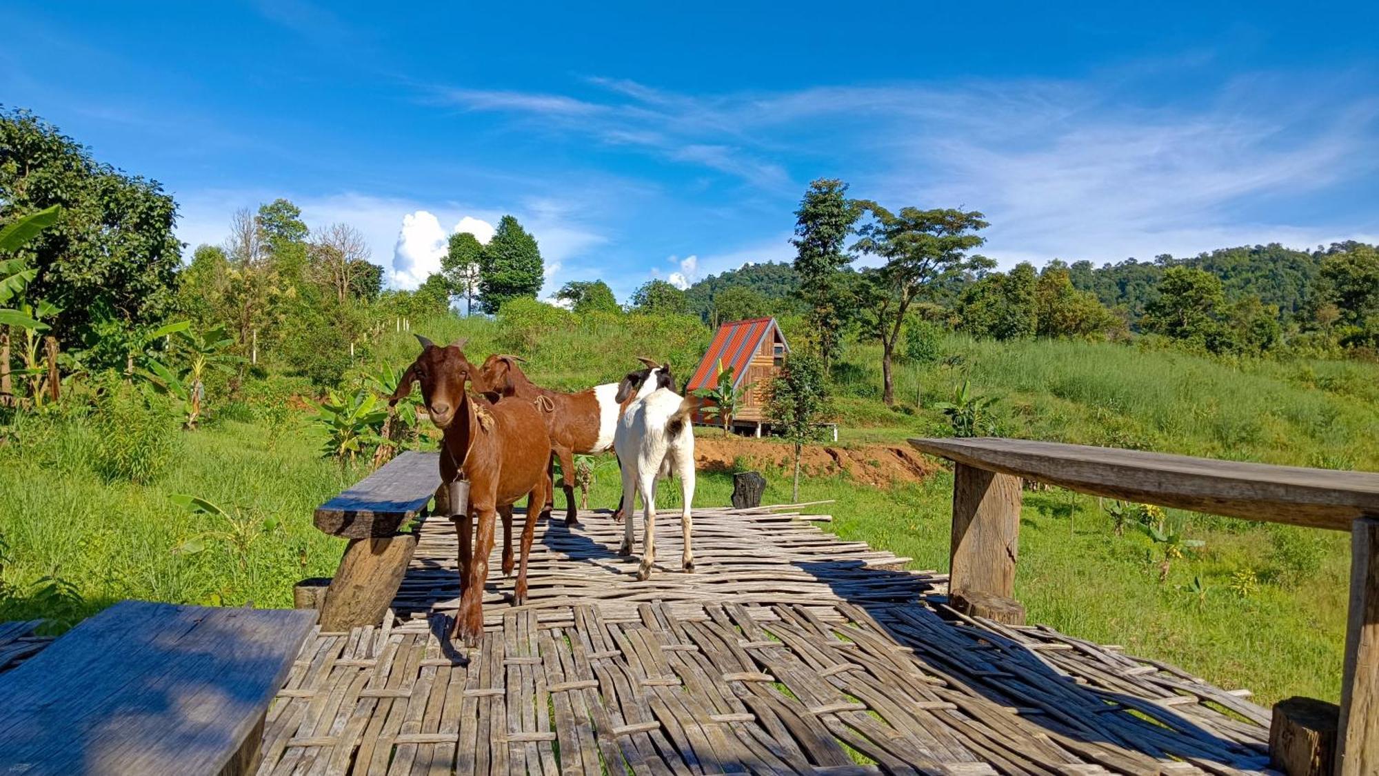 ไร่นิธิสุนทร Nithisoonthon Farmstay Мехонгсон Екстер'єр фото