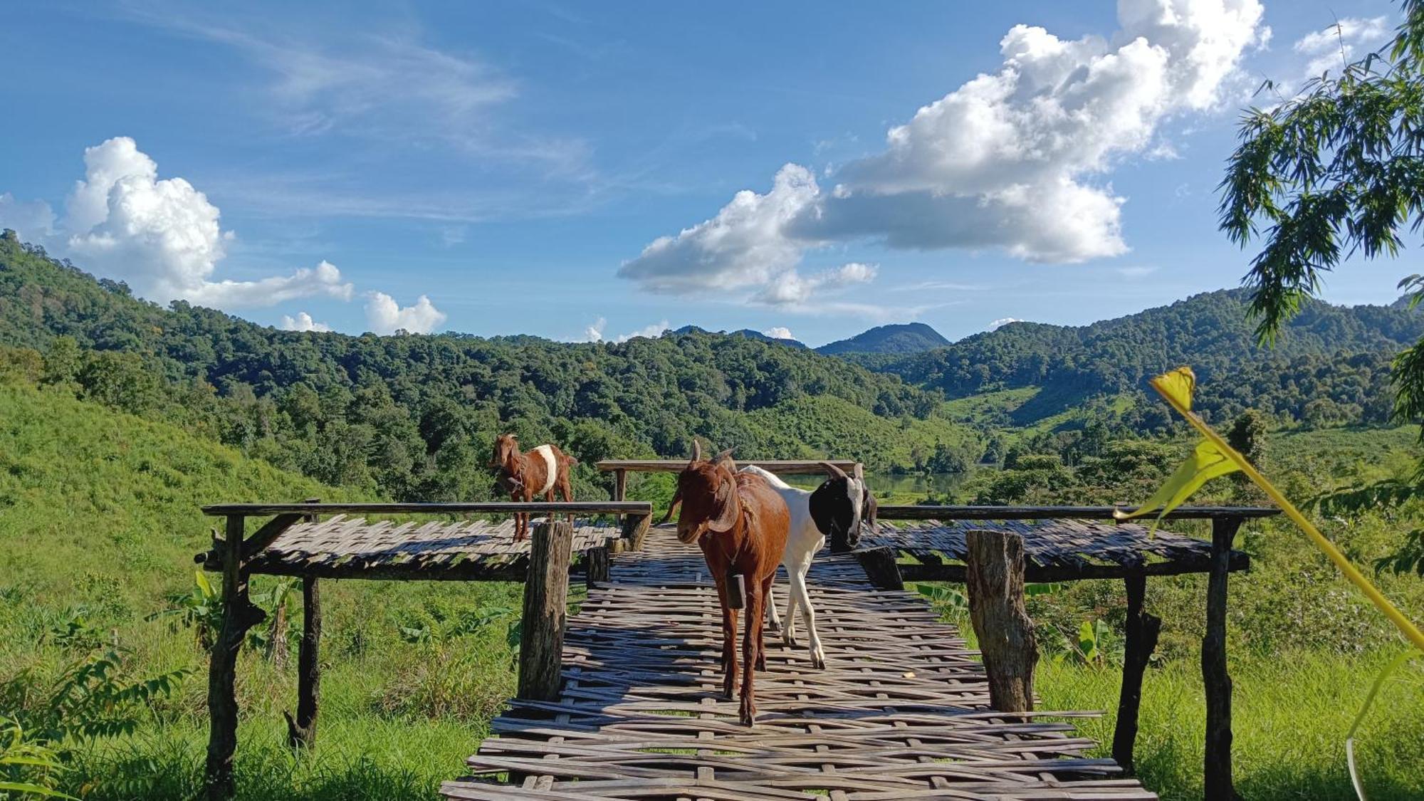 ไร่นิธิสุนทร Nithisoonthon Farmstay Мехонгсон Екстер'єр фото