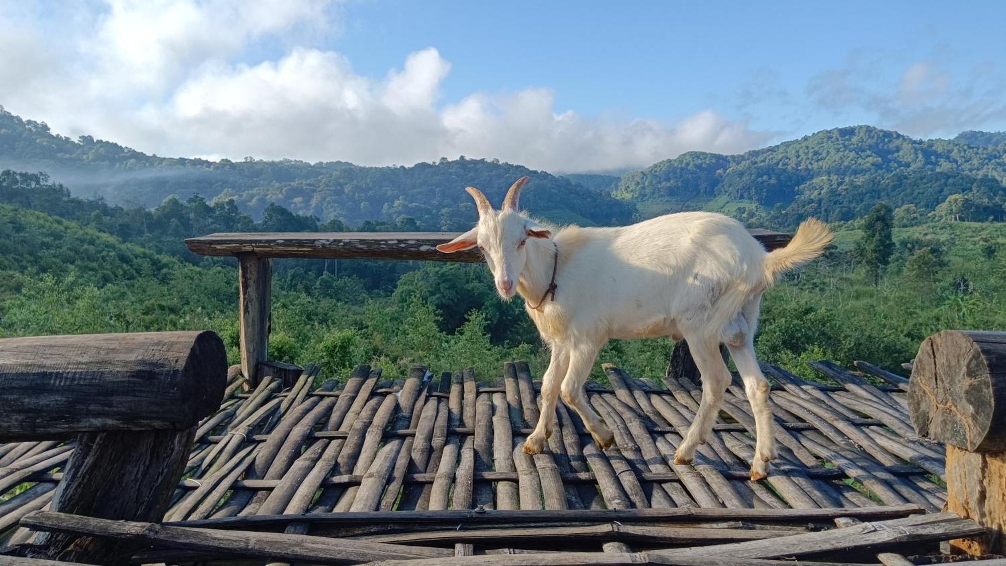ไร่นิธิสุนทร Nithisoonthon Farmstay Мехонгсон Екстер'єр фото