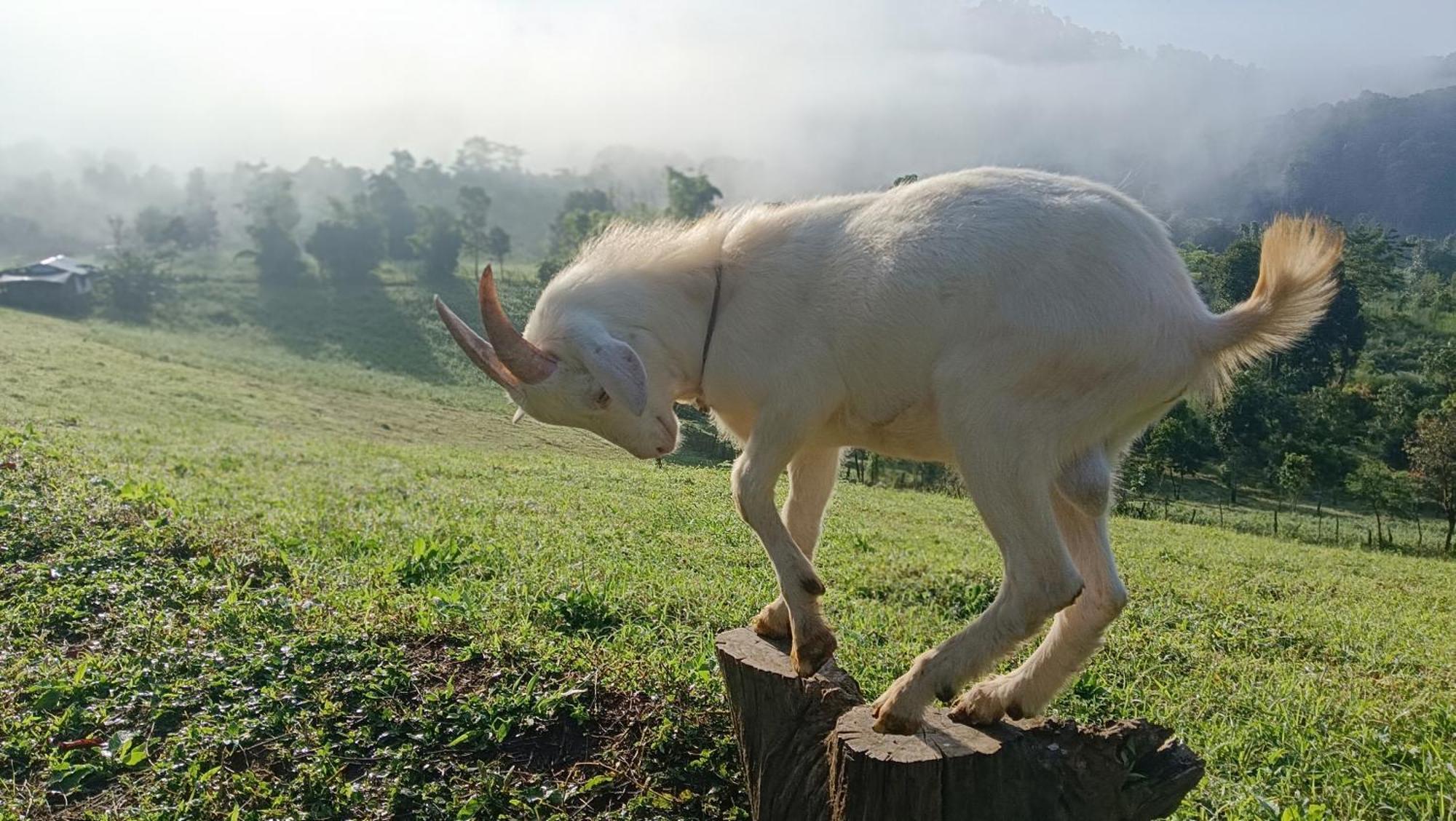 ไร่นิธิสุนทร Nithisoonthon Farmstay Мехонгсон Екстер'єр фото