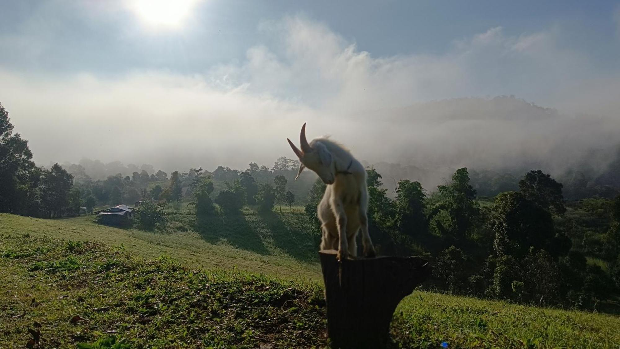 ไร่นิธิสุนทร Nithisoonthon Farmstay Мехонгсон Екстер'єр фото