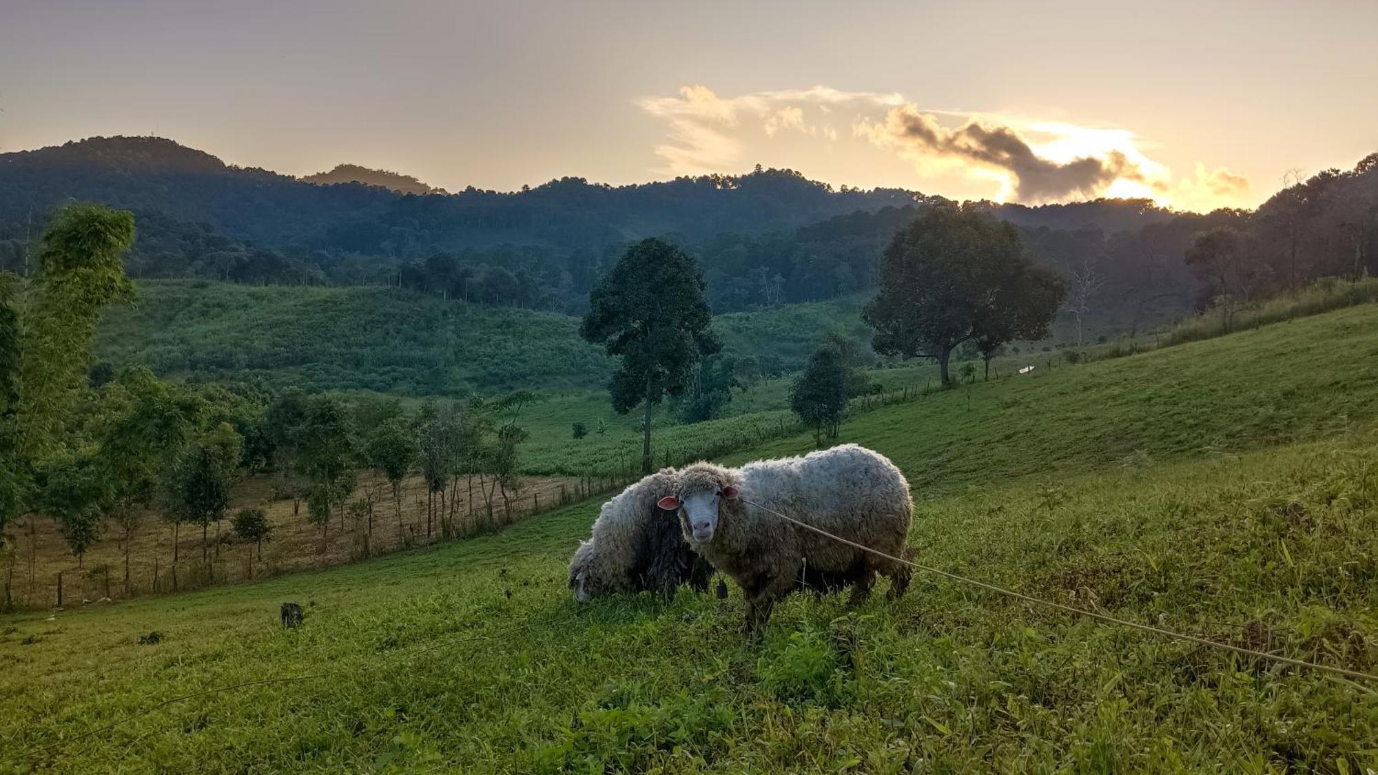 ไร่นิธิสุนทร Nithisoonthon Farmstay Мехонгсон Екстер'єр фото