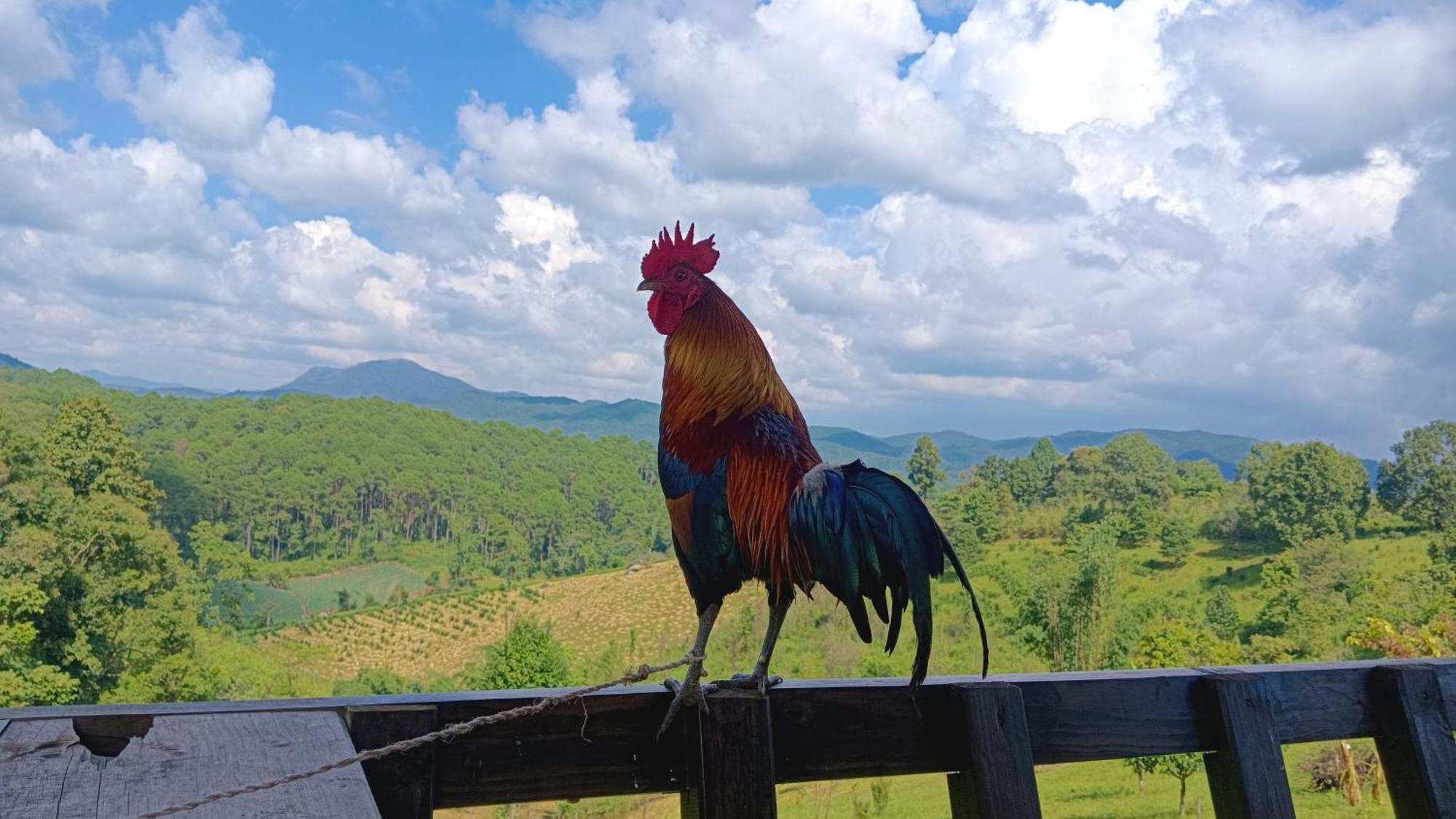ไร่นิธิสุนทร Nithisoonthon Farmstay Мехонгсон Екстер'єр фото